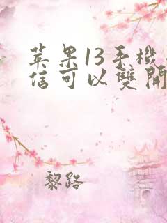 苹果13手机微信可以双开吗