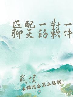 匹配一对一视频聊天的软件