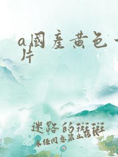 a国产黄色一级片