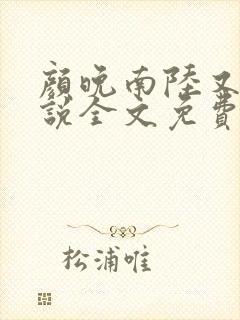 颜晚南陆又庭小说全文免费阅读