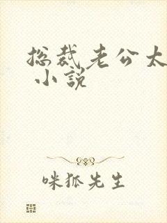 总裁老公太霸道 小说