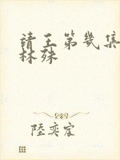 靖王第几集认出林殊