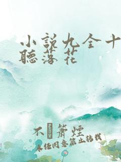 小说九全十美闲听落花