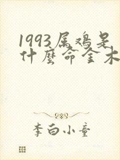 1993属鸡是什么命金木水火土