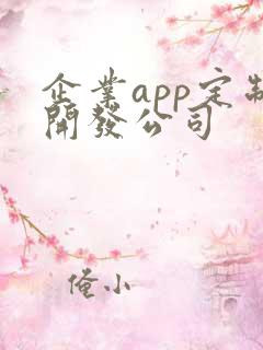 企业app定制开发公司