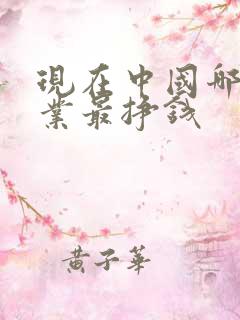 现在中国哪个行业最挣钱