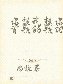 你说我想你是哪首歌的歌词