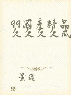 99国产精品久久久久久成人