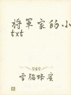 将军家的小娇娘txt