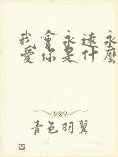 我会永远永远的爱你是什么歌