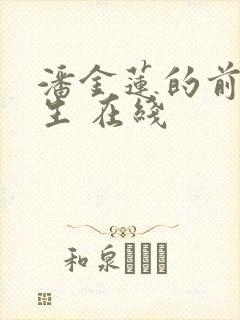 潘金莲的前世今生 在线