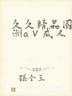 久久精品国产亚洲a∨成人