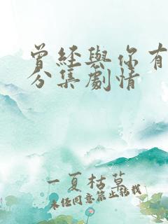 曾经与你有个梦分集剧情