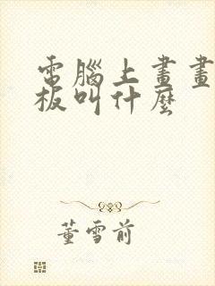 电脑上画画用的板叫什么