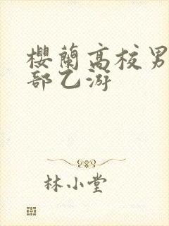 樱兰高校男公关部乙游