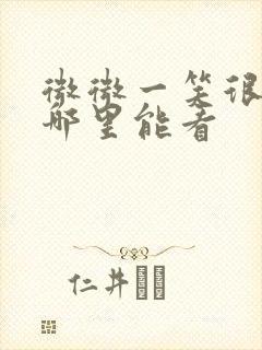 微微一笑很倾城哪里能看