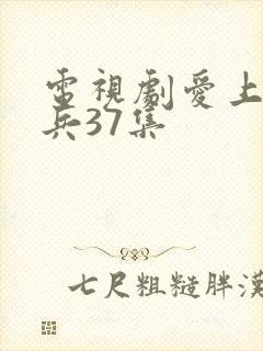 电视剧爱上特种兵37集