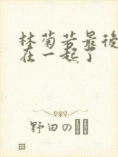 林菊若最后和谁在一起了