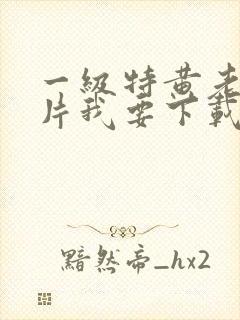 一级特黄老太婆片我要下载