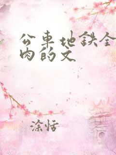 公车地铁全是肉肉的文