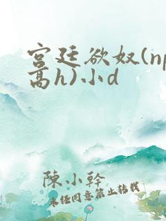 宫廷欲奴(np高h)小d
