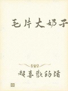 毛片大奶子