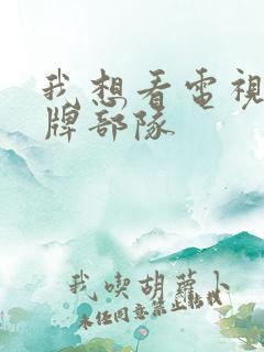 我想看电视剧王牌部队