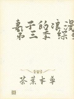 妻子的浪漫旅行 第三季 综艺