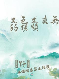 又色又爽无遮挡的视频