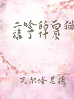 二哈的白猫师尊讲了什么