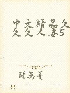 中文精品久久久久久人妻5