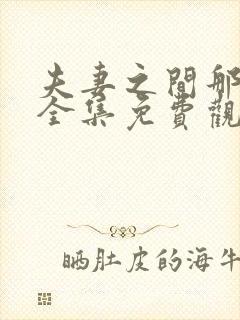 夫妻之间那些事全集免费观看电视剧完整版