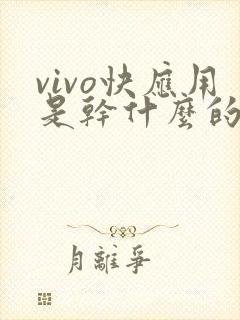 vivo快应用是干什么的