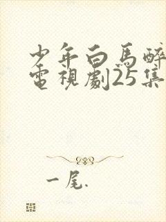 少年白马醉春风电视剧25集免费观看