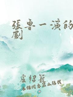 张鲁一演的谍战剧