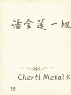 潘金莲一级性片