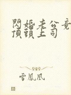 闪婚老公竟是我顶头上司