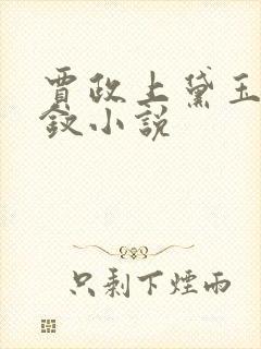 贾政上黛玉和宝钗小说