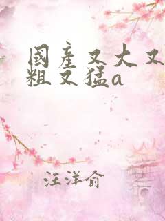 国产又大又黄又粗又猛a