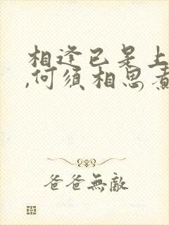 相逢已是上上签,何须相思煮余年,