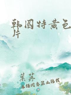 韩国特黄色一级片