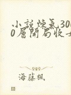 小说炼气3000层开局收女帝为徒电子书下载