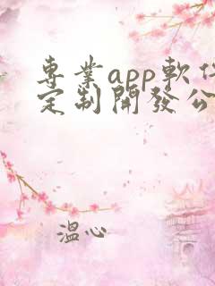 专业app软件定制开发公司