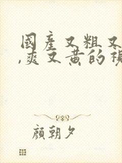 国产又粗又猛又,爽又黄的视频