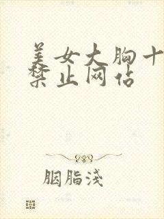 美女大胸十八岁禁止网站