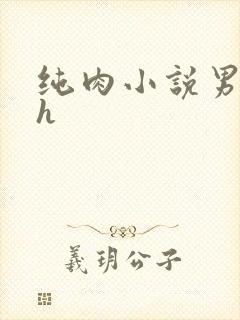 纯肉小说男男高h