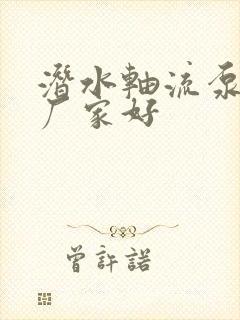 潜水轴流泵哪个厂家好