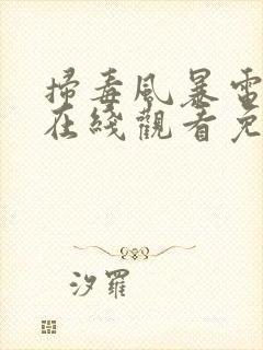 扫毒风暴电视剧在线观看免费