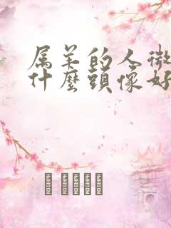 属羊的人微信用什么头像好一点