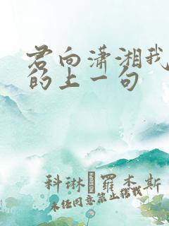 君向潇湘我向秦的上一句